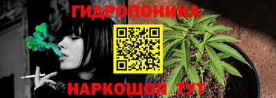 гидра Дубна