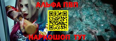 гашик Моздок