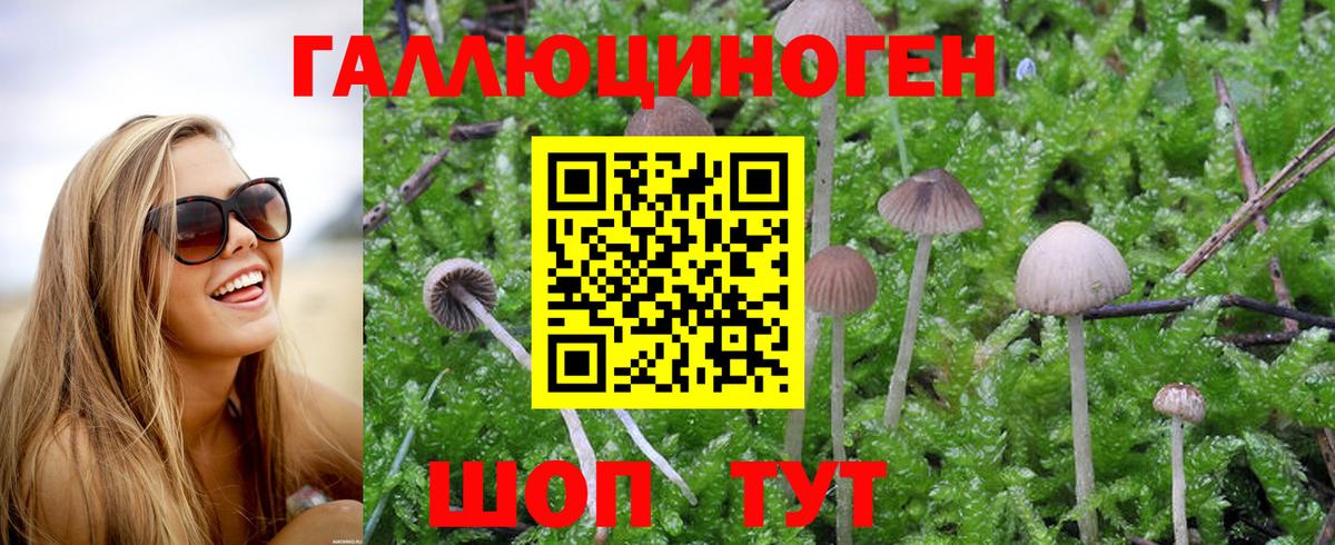 Псилоцибиновые грибы Magic Shrooms  Добрянка 