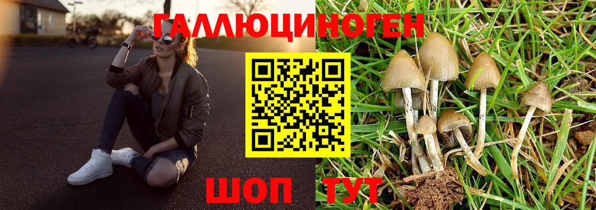 Добрянка  Галлюциногенные грибы Psilocybe  Вход с VPN  Псилоцибиновые грибы мицелий 