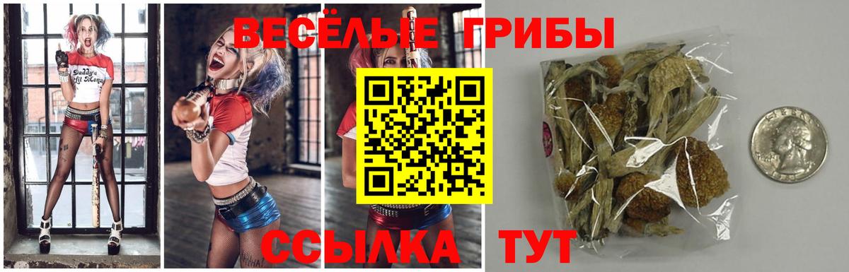 Галлюциногенные грибы GOLDEN TEACHER Добрянка